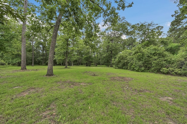 17230 Pioneer Trl, Conroe, TX 77302 - view of green lawn