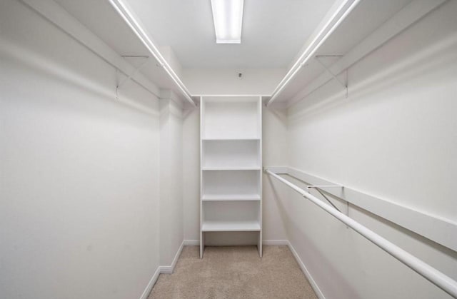 3525 Sage Rd Unit 1502, Houston, TX 77056 - walk in closet featuring light carpet