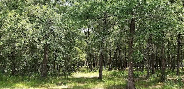 536 Indian Trails Dr, Wallisville, TX 77597 - photo 8