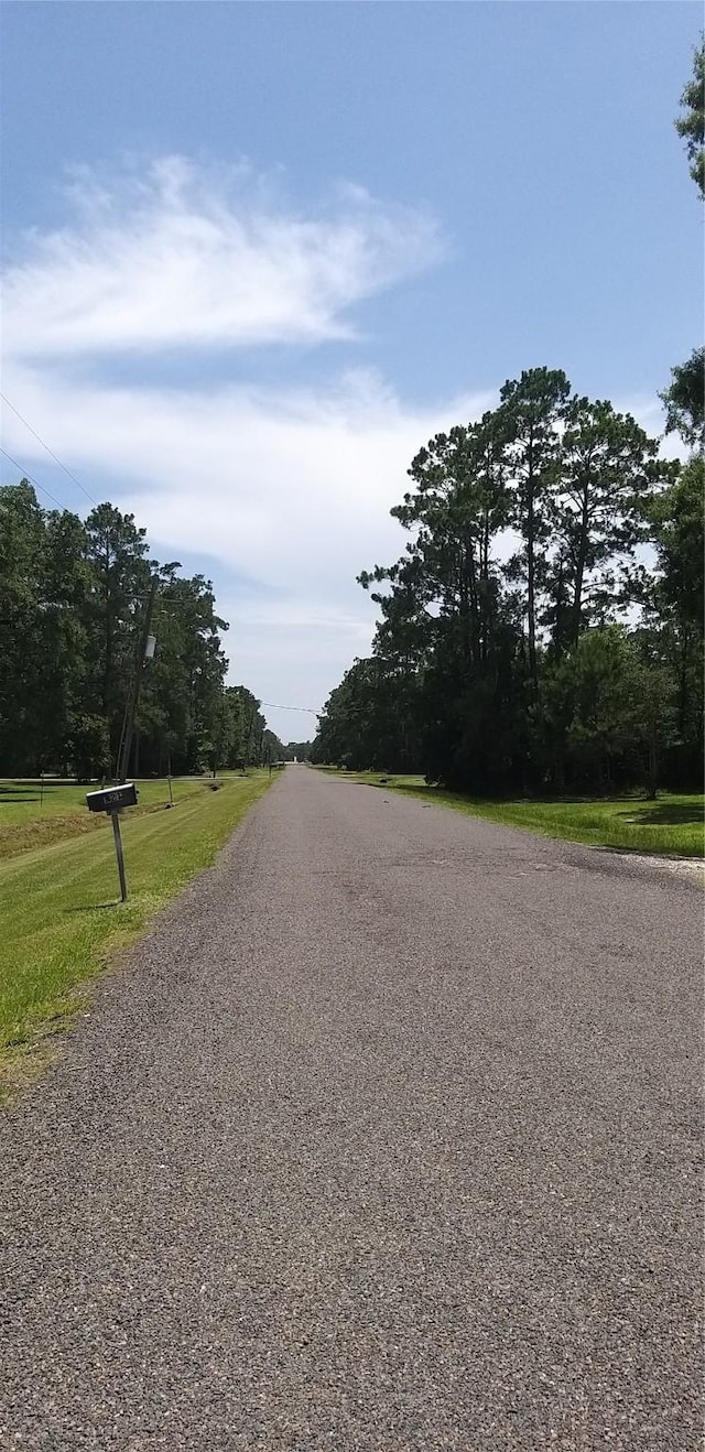 536 Indian Trails Dr, Wallisville, TX 77597 - photo 12