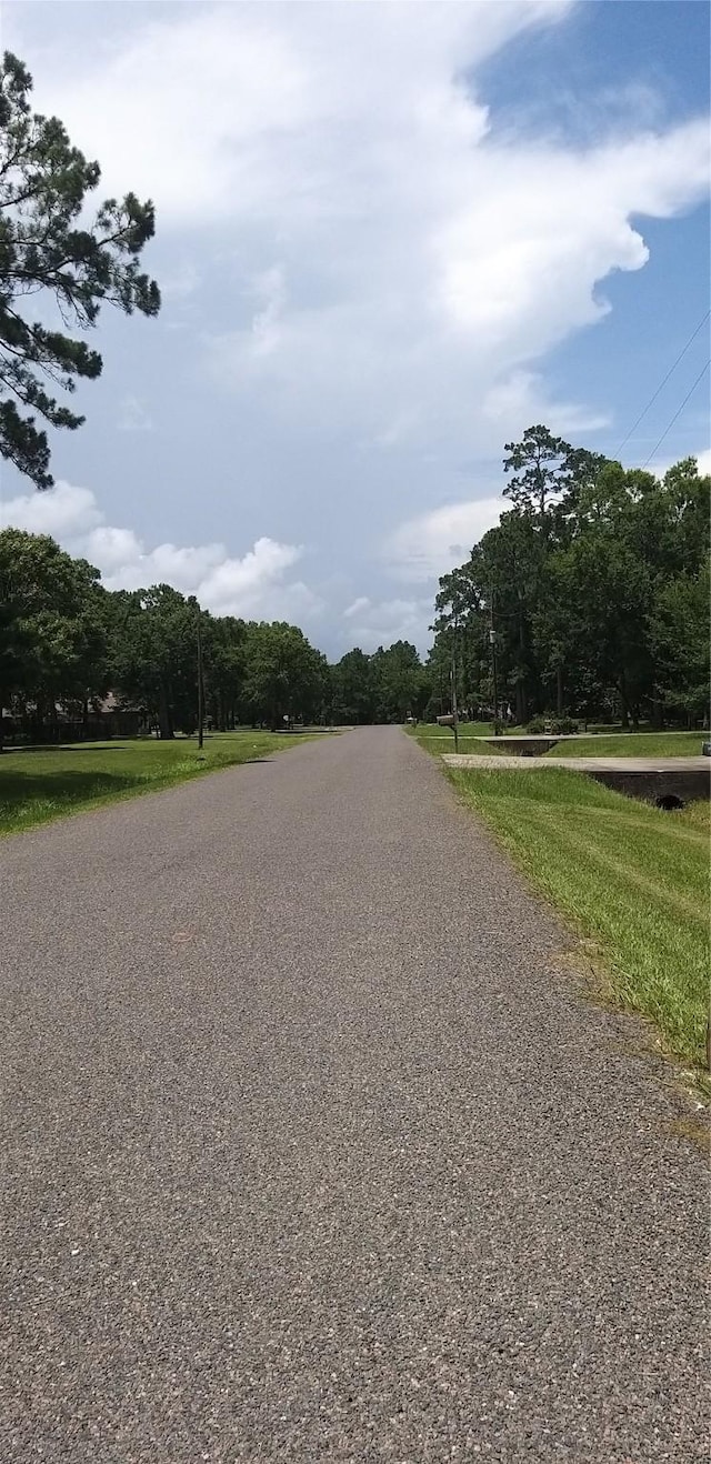 536 Indian Trails Dr, Wallisville, TX 77597 - photo 13
