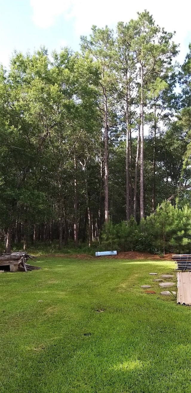 536 Indian Trails Dr, Wallisville, TX 77597 - photo 15