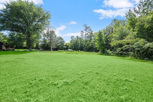 4719 Duff Rd, Livingston, TX 77351 - photo 42