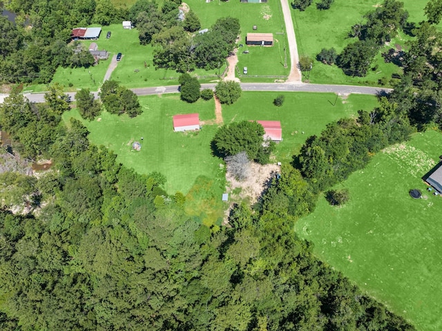 4719 Duff Rd, Livingston, TX 77351 - photo 29