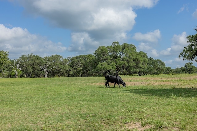 1561 County Road 154, Weimar, TX 78962