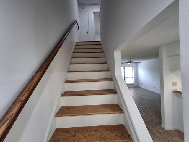 5000 Milwee St Unit 79, Houston, TX 77092 - photo 18