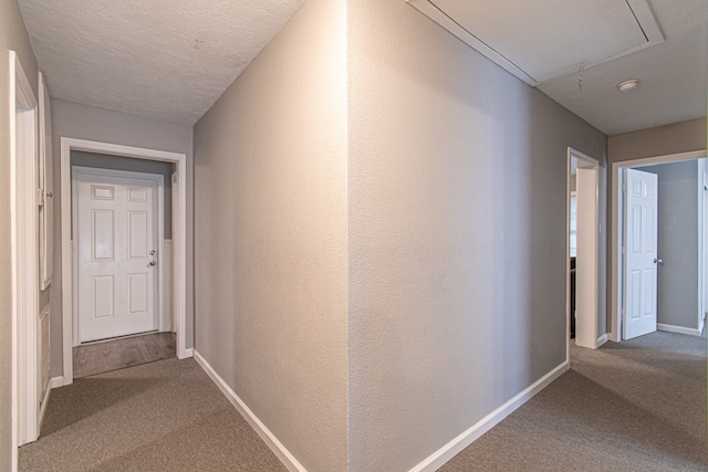 933 Mainland Dr, Texas City, TX 77590 - photo 13