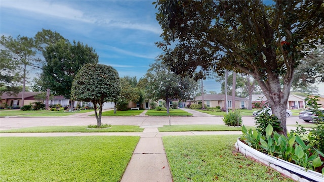 9030 Troulon Dr, Houston, TX 77036 - view of grassy yard featuring a residential view