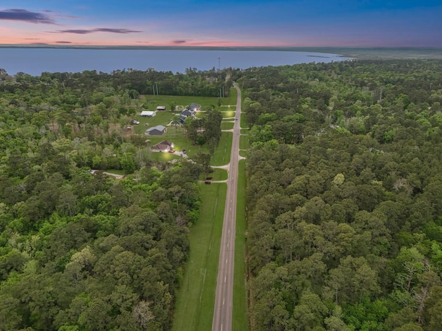 LOT1 Fm-2041, Anahuac, TX 77514
