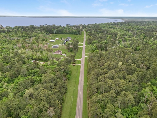 LOT1 Fm-2041, Anahuac, TX 77514