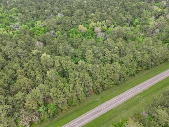 LOT1 Fm-2041, Anahuac, TX 77514