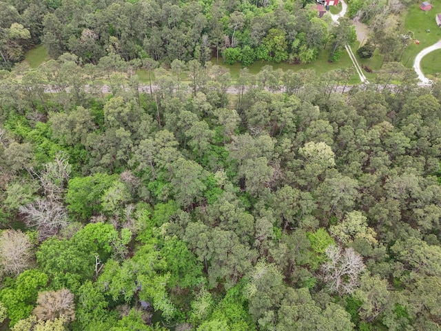 LOT1 Fm-2041, Anahuac, TX 77514