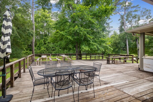 25091 Little John Cir, Hockley, TX 77447 - photo 19