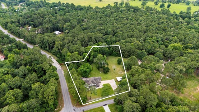 25091 Little John Cir, Hockley, TX 77447 - photo 26