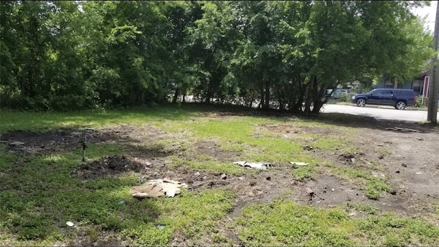 2109 Gray St, Houston, TX 77003 - photo 3