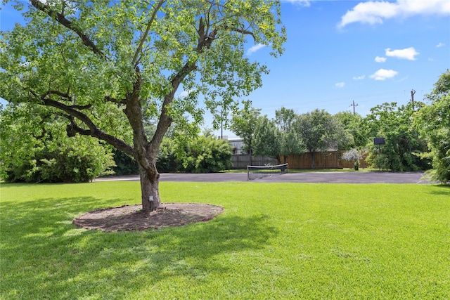 8220 Wateka Cir, Houston, TX 77074 - view of yard featuring a tennis court