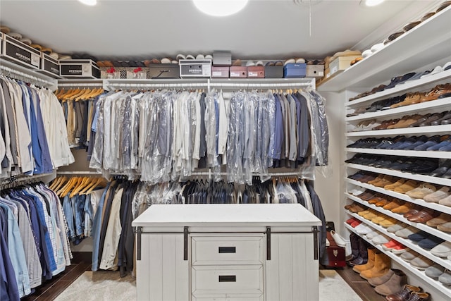 8220 Wateka Cir, Houston, TX 77074 - view of spacious closet