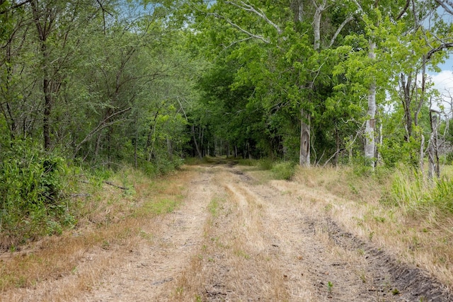 745 Ives Creek Rd, Bellville, TX 77418 - photo 7
