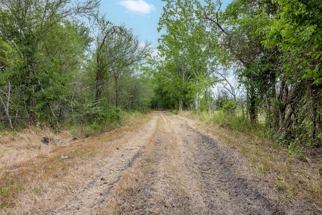 745 Ives Creek Rd, Bellville, TX 77418 - photo 13