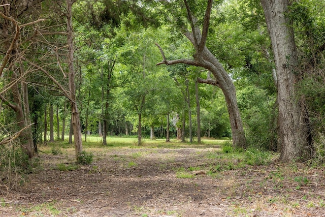 745 Ives Creek Rd, Bellville, TX 77418 - photo 1