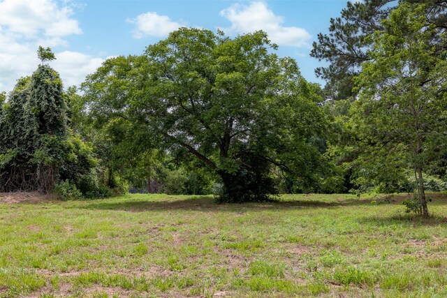 745 Ives Creek Rd, Bellville, TX 77418 - photo 8