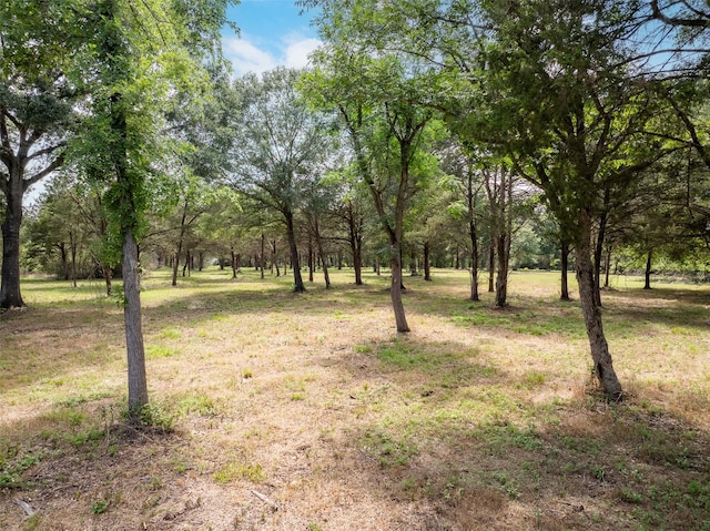 745 Ives Creek Rd, Bellville, TX 77418 - photo 19
