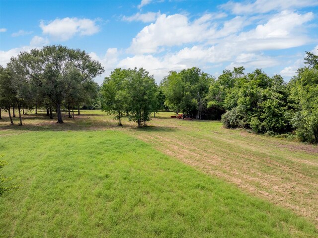 745 Ives Creek Rd, Bellville, TX 77418 - photo 9