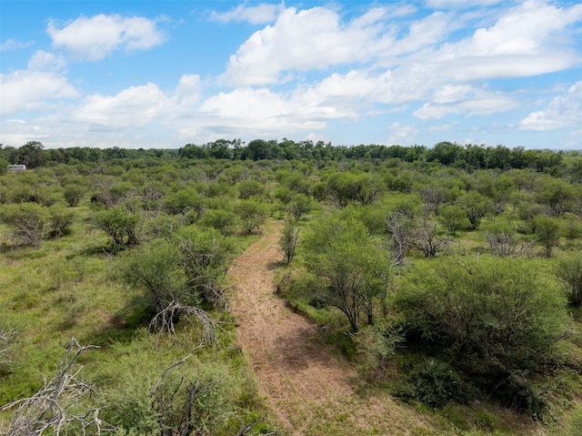 745 Ives Creek Rd, Bellville, TX 77418 - photo 22
