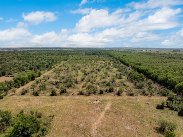 745 Ives Creek Rd, Bellville, TX 77418 - photo 21