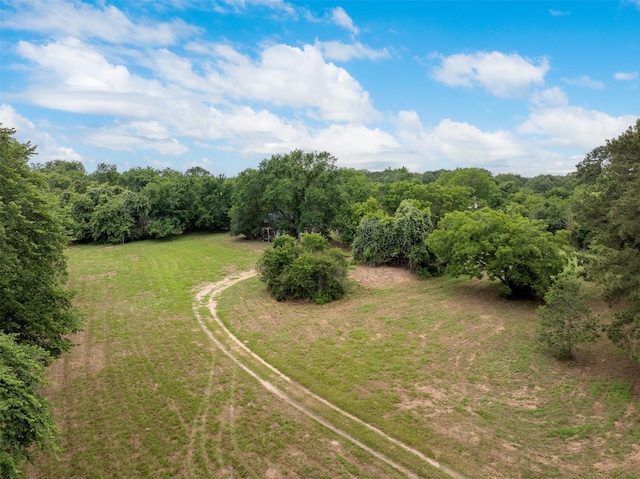 745 Ives Creek Rd, Bellville, TX 77418 - photo 4