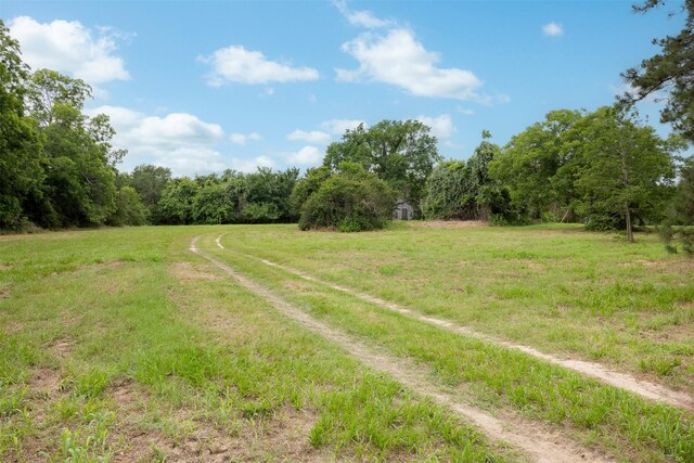 745 Ives Creek Rd, Bellville, TX 77418 - photo 3