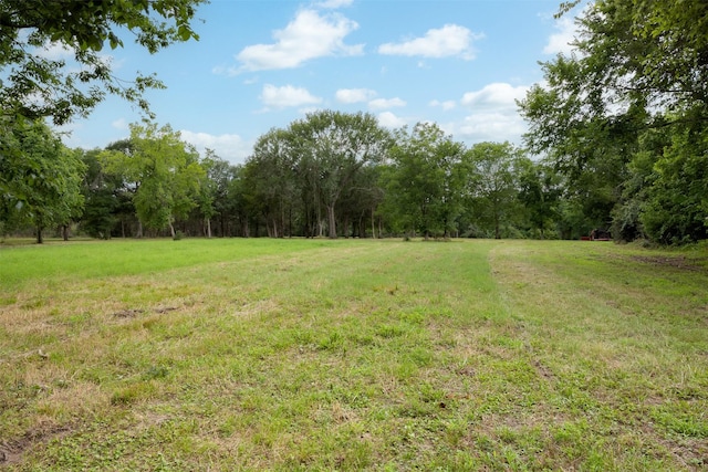 745 Ives Creek Rd, Bellville, TX 77418 - photo 6