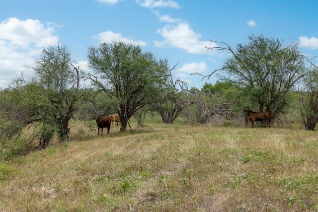 745 Ives Creek Rd, Bellville, TX 77418 - photo 14
