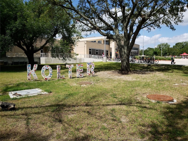 5110 Contour Pl, Houston, TX 77096 - view of grassy yard