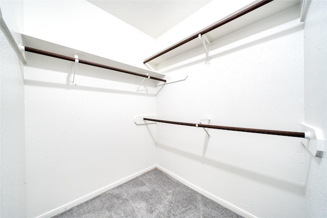 21434 Park Bluff Dr, Katy, TX 77450 - walk in closet with carpet