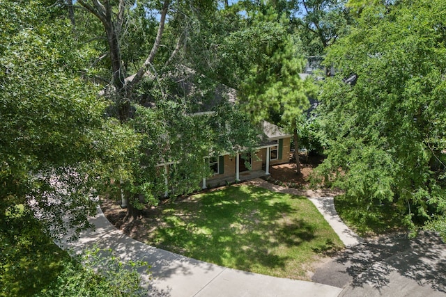 10813 Colony Wood Pl, The Woodlands, TX 77380 - view of green lawn with a porch