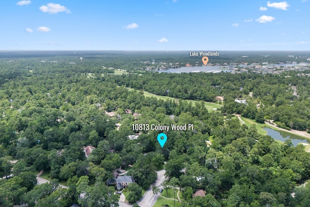 10813 Colony Wood Pl, The Woodlands, TX 77380 - aerial view of a nearby body of water and a heavily wooded area