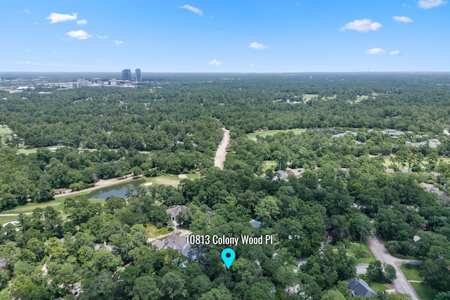 10813 Colony Wood Pl, The Woodlands, TX 77380 - drone / aerial view of a forest and a nearby body of water
