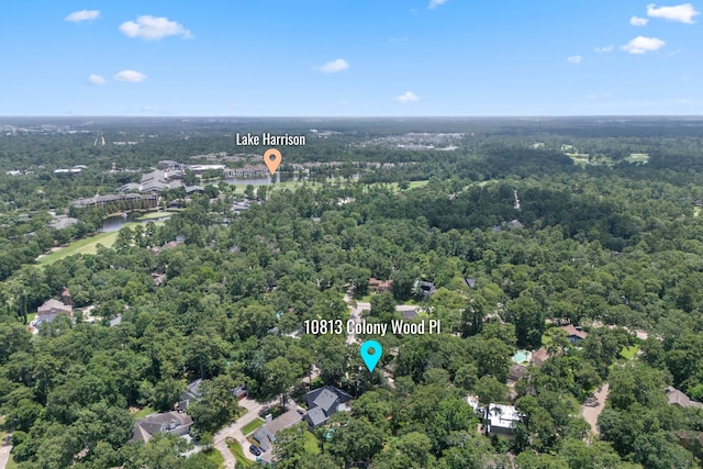 10813 Colony Wood Pl, The Woodlands, TX 77380 - aerial view of property's location featuring a heavily wooded area and a nearby body of water