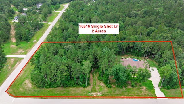 10516 Single Shot Ln, Willis, TX 77378 - photo 5