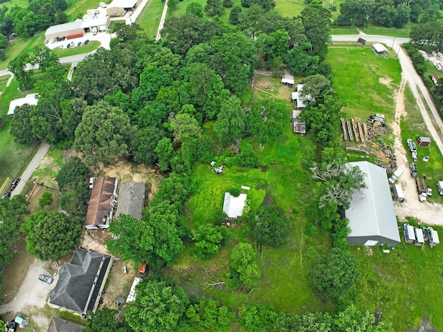11121 Fostoria Rd, Cleveland, TX 77328 - aerial view of property and surrounding area