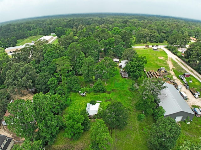 11121 Fostoria Rd, Cleveland, TX 77328 - aerial view of property and surrounding area with a heavily wooded area