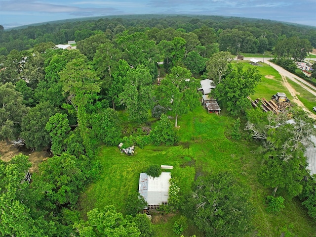 11121 Fostoria Rd, Cleveland, TX 77328 - bird's eye view of a forest