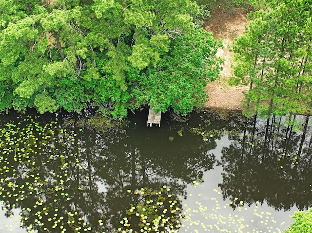 11121 Fostoria Rd, Cleveland, TX 77328 - water view