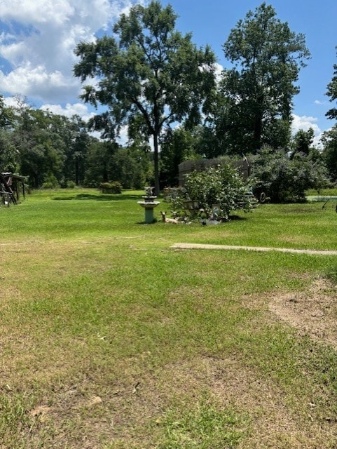 11121 Fostoria Rd, Cleveland, TX 77328 - view of green lawn