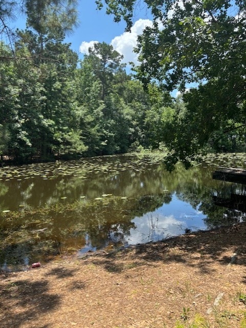 11121 Fostoria Rd, Cleveland, TX 77328 - water view