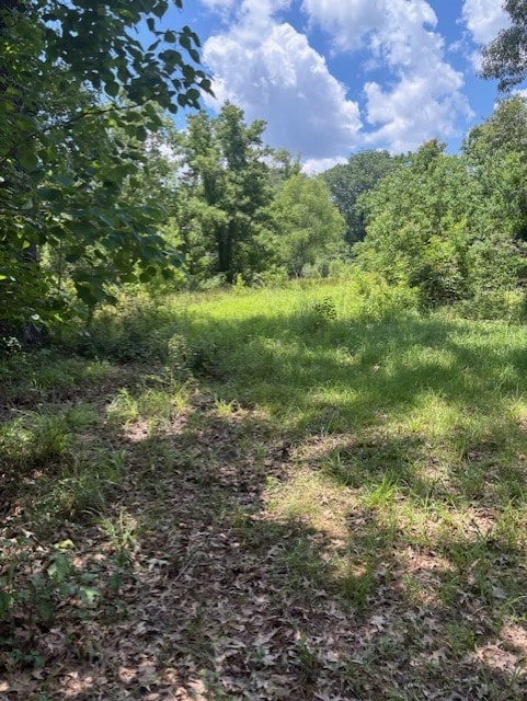 11121 Fostoria Rd, Cleveland, TX 77328 - view of tree filled area