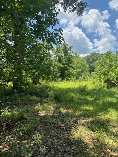 11121 Fostoria Rd, Cleveland, TX 77328 - view of local wilderness