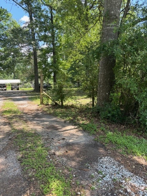 11121 Fostoria Rd, Cleveland, TX 77328 - view of street