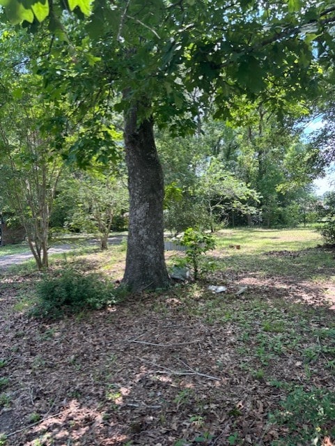 11121 Fostoria Rd, Cleveland, TX 77328 - view of undeveloped land